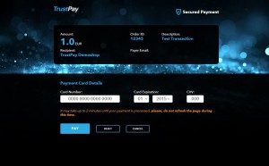 TP_payment gateway_web_EN